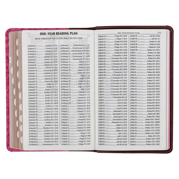 Brown & Berry Pink Faux Leather Giant Print Standard-size King James Version Bible with Thumb Index