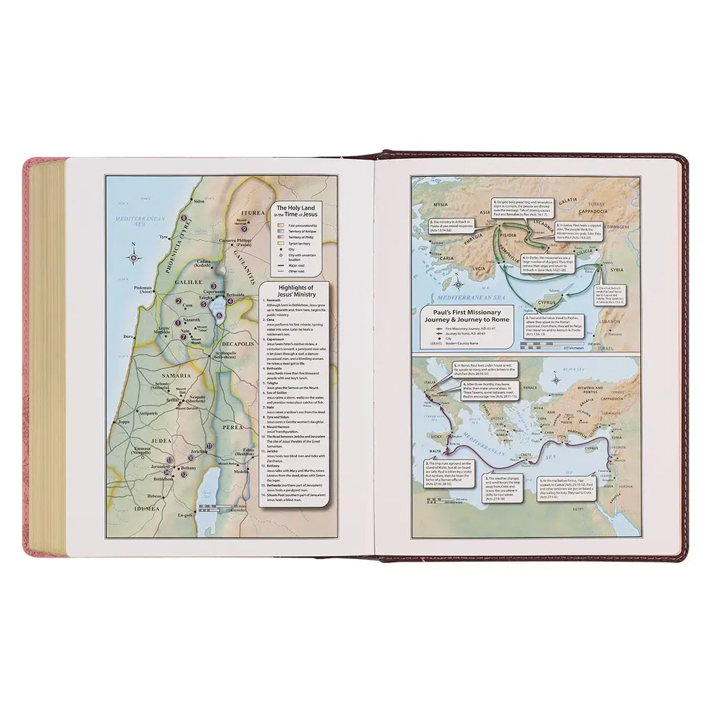 Brown & Pink Faux Leather Hardcover Note-taking Bible