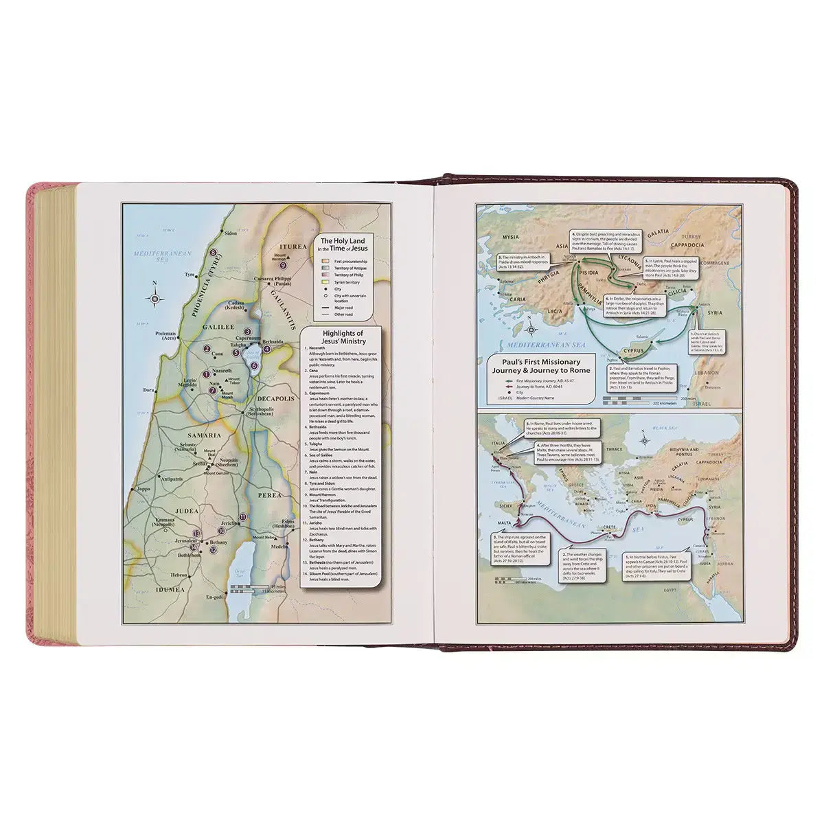 Brown & Pink Faux Leather Hardcover Note-taking Bible