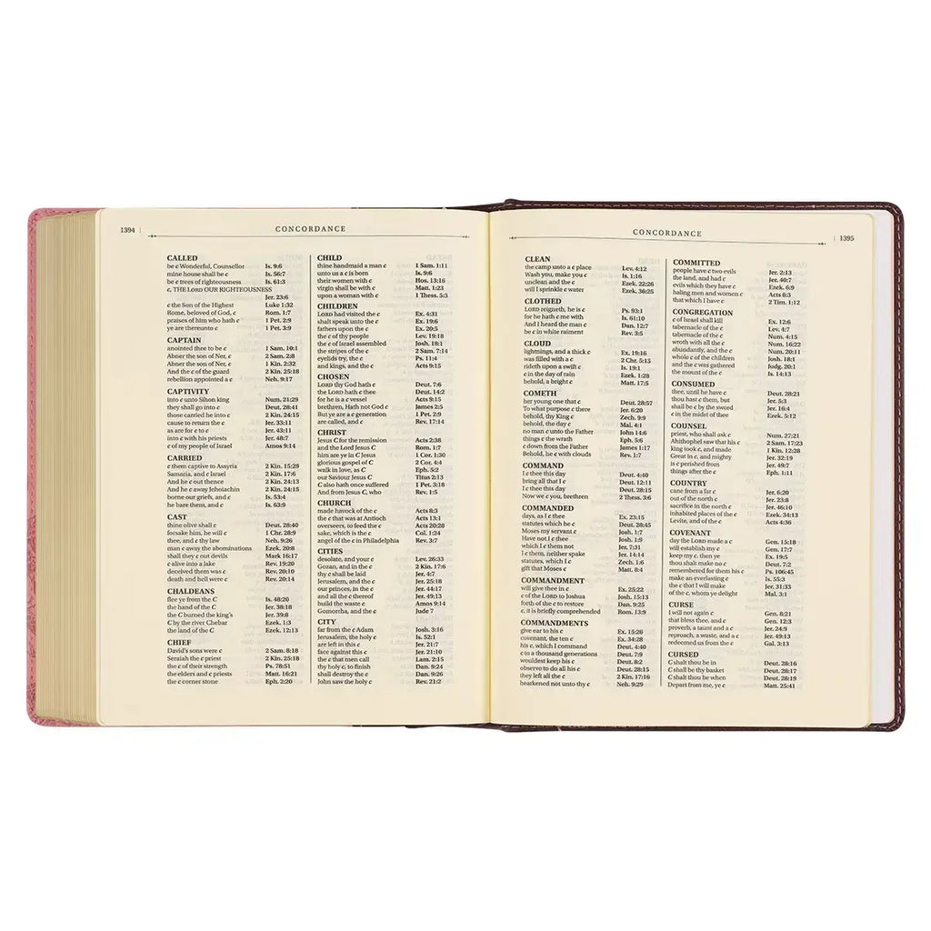 Brown & Pink Faux Leather Hardcover Note-taking Bible