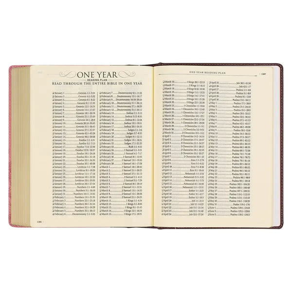 Brown & Pink Faux Leather Hardcover Note-taking Bible