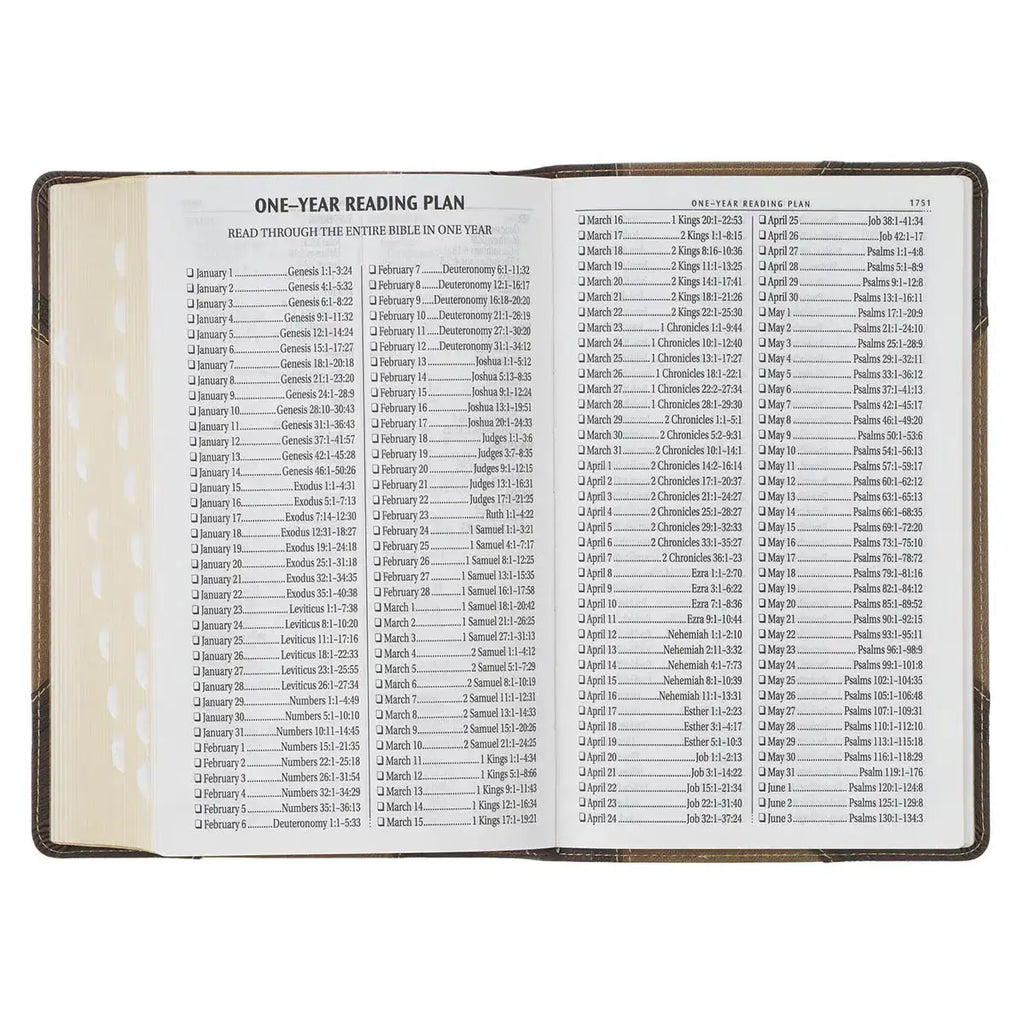 Brown & Tan Faux Leather Standard-size Giant Print King James Version Bible with Thumb Index