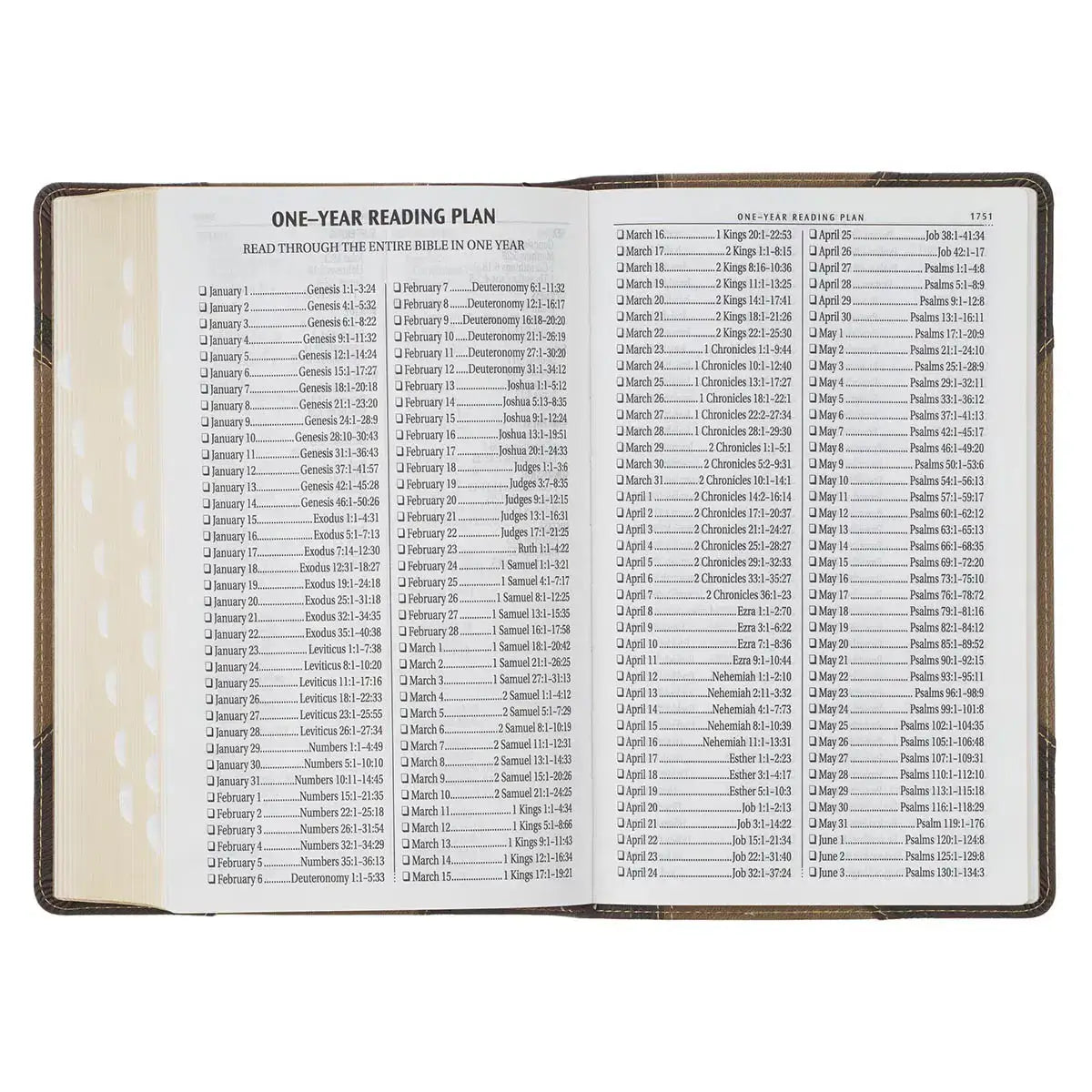 Brown & Tan Faux Leather Standard-size Giant Print King James Version Bible with Thumb Index