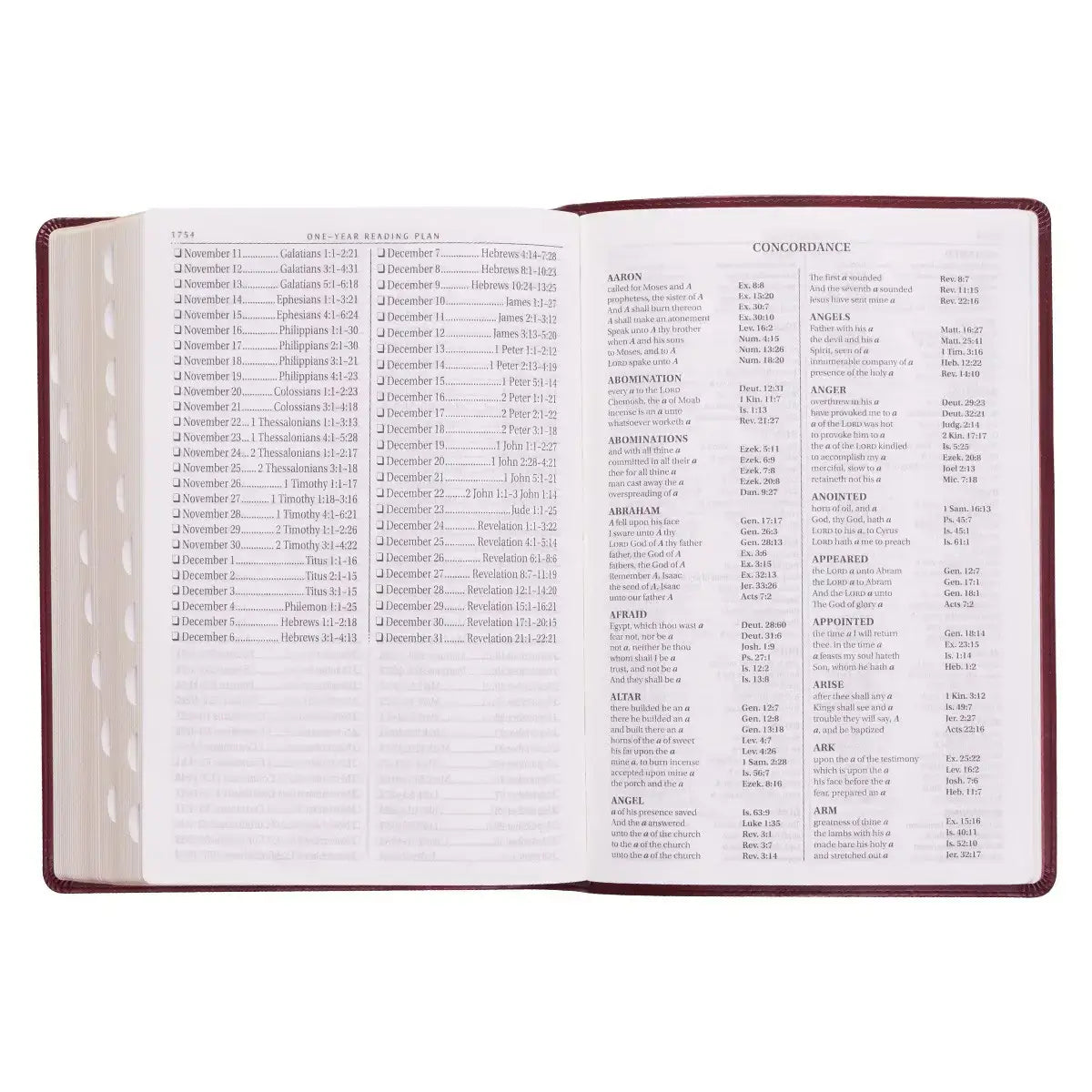 Burgundy Faux Leather Super Giant Print King James Version Bible with Thumb Index
