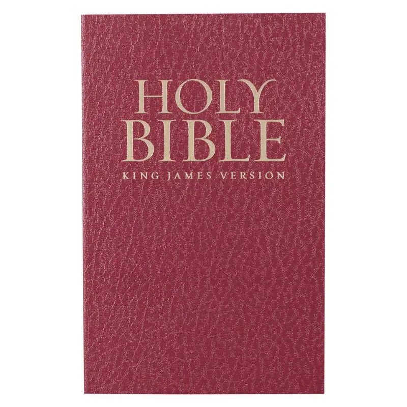 Burgundy Softcover Gift & Award King James Version Bible Main image