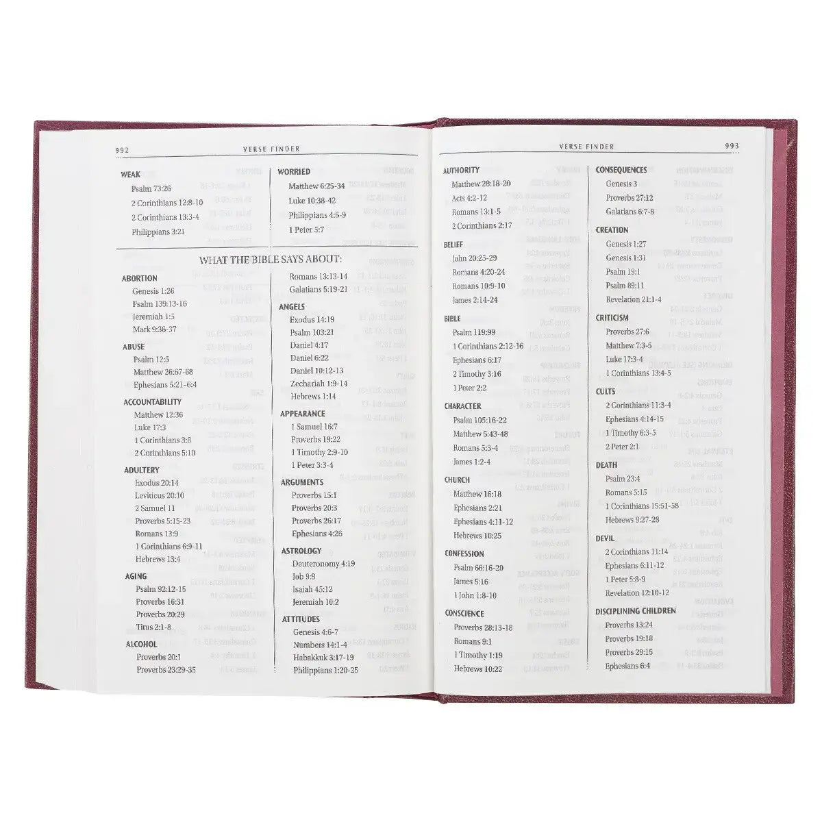 Burgundy Hardcover King James Version Pew Bible
