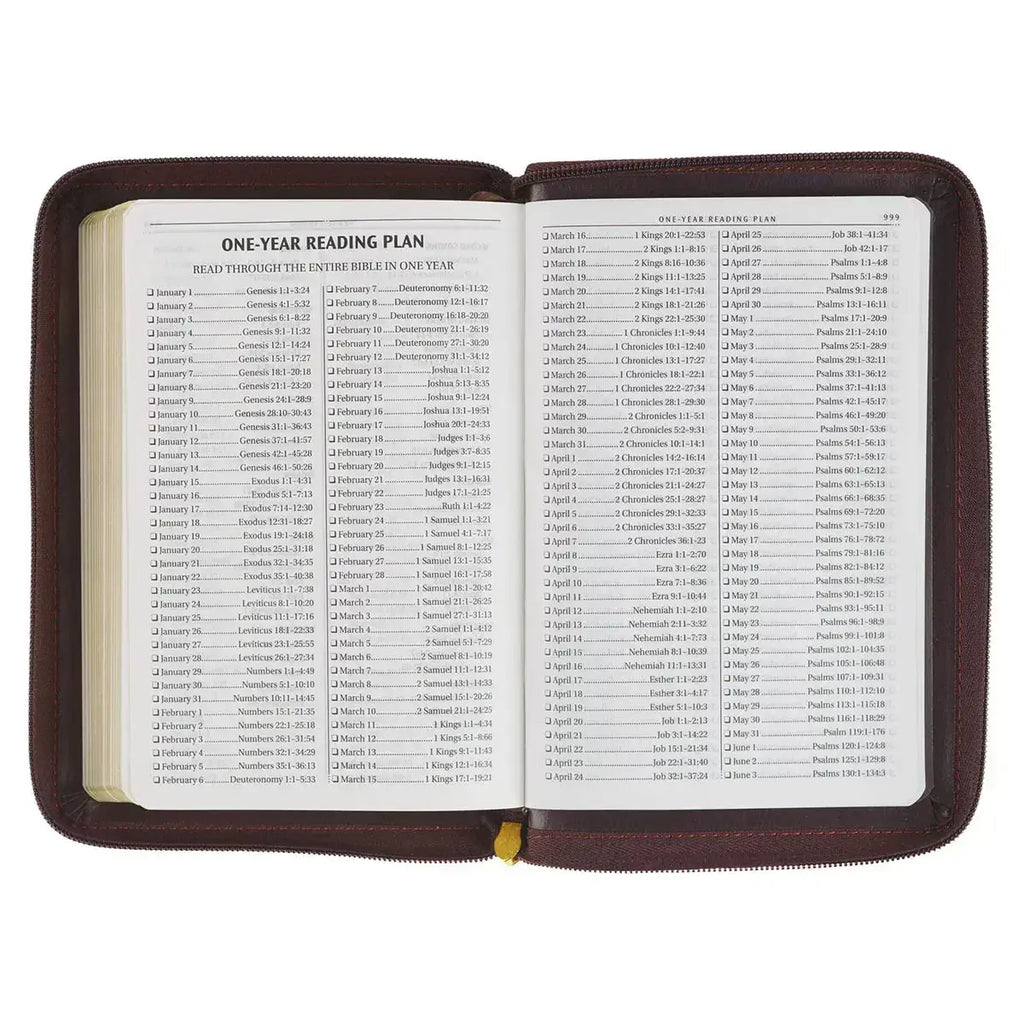 Burgundy & Saddle Tan Framed Faux Leather Compact King James Version Bible with Zippered Closure