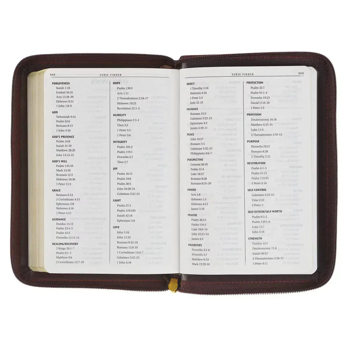 Burgundy & Saddle Tan Framed Faux Leather Compact King James Version Bible with Zippered Closure