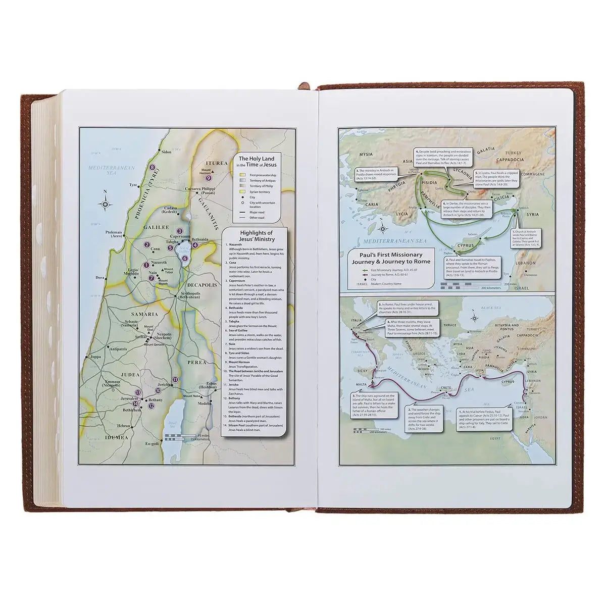 Chestnut Brown Full-Grain Leather Giant Print Standard-size King James Version Bible with Thumb Index