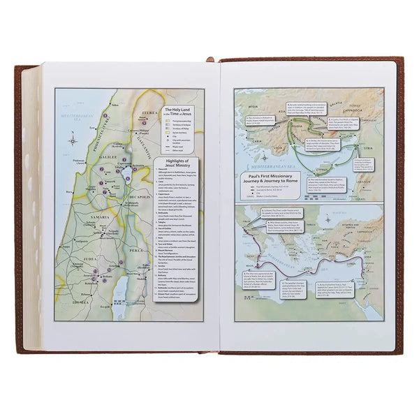 Chestnut Brown Full-Grain Leather Giant Print Standard-size King James Version Bible with Thumb Index