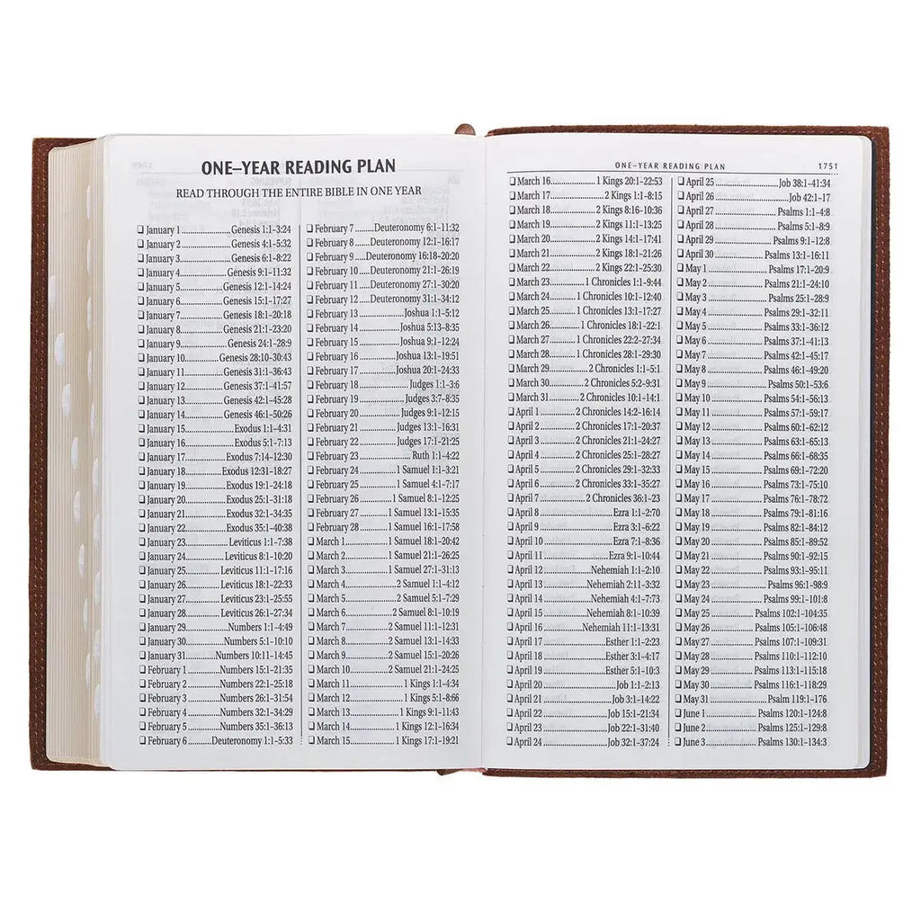 Chestnut Brown Full-Grain Leather Giant Print Standard-size King James Version Bible with Thumb Index