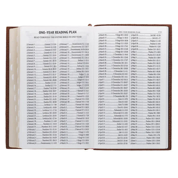 Chestnut Brown Full-Grain Leather Giant Print Standard-size King James Version Bible with Thumb Index