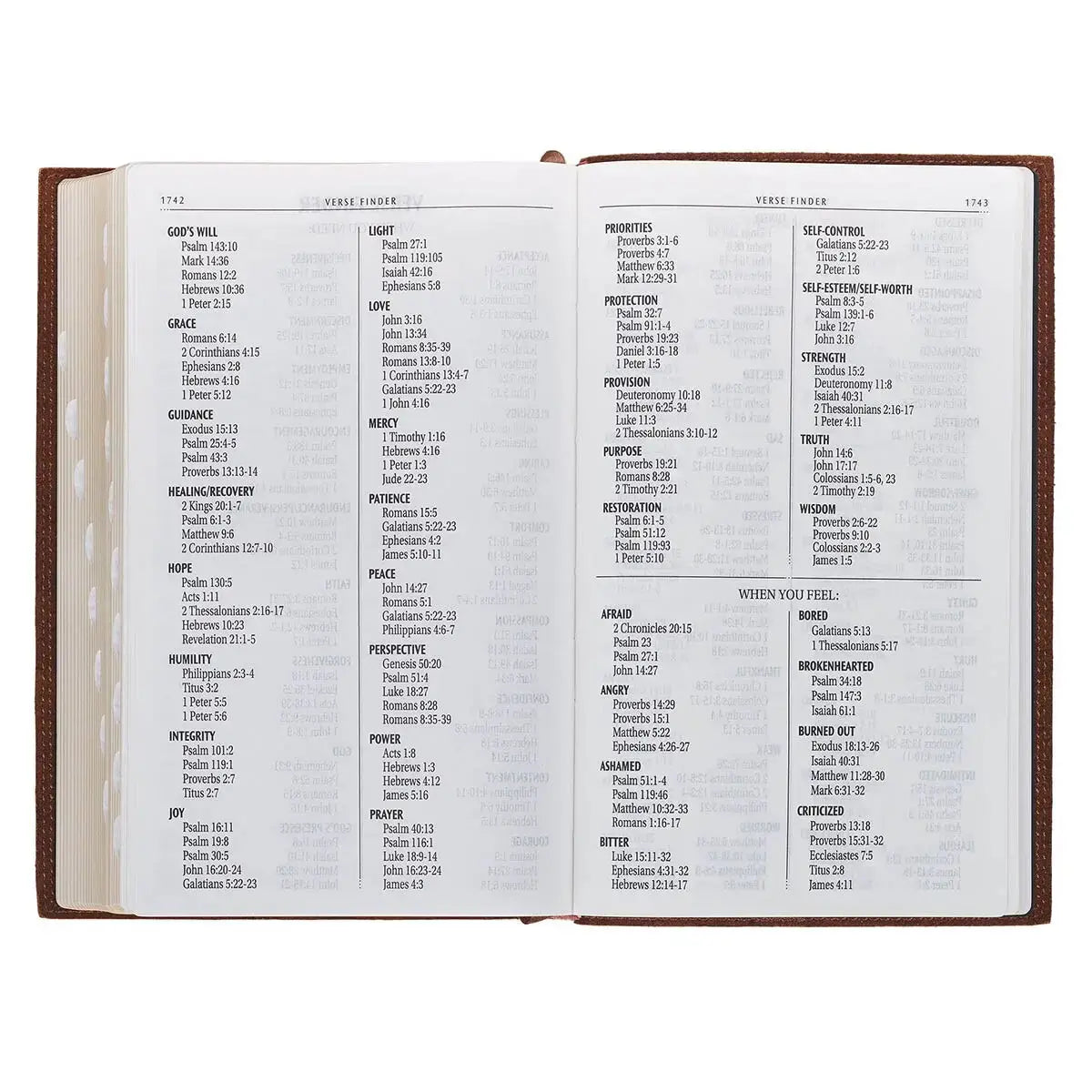 Chestnut Brown Full-Grain Leather Giant Print Standard-size King James Version Bible with Thumb Index