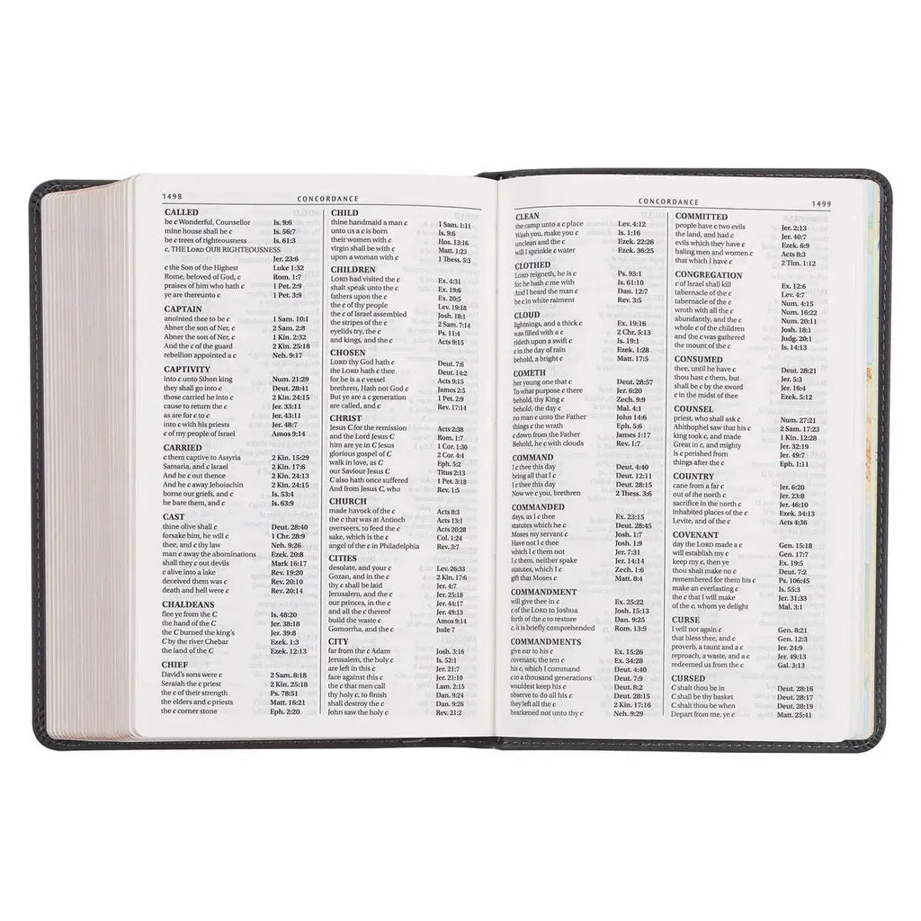 Cobalt Gray Large Print Compact King James Version Bible