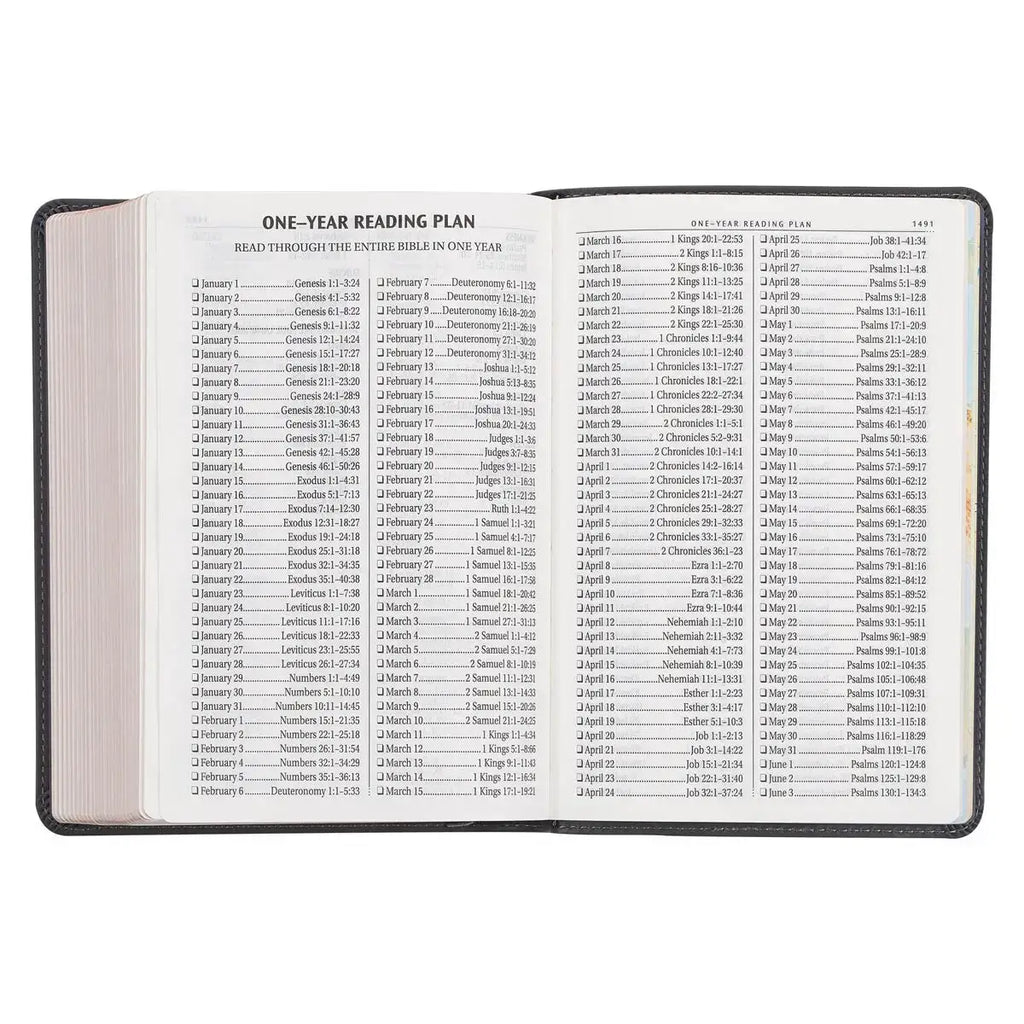 Cobalt Gray Large Print Compact King James Version Bible