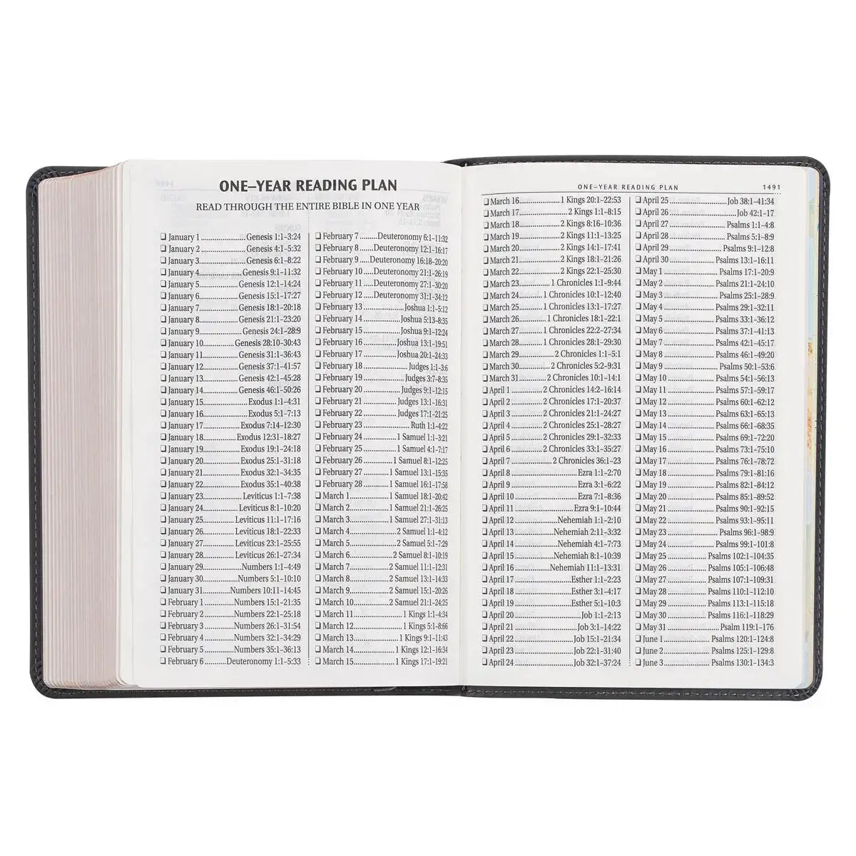 Cobalt Gray Large Print Compact King James Version Bible