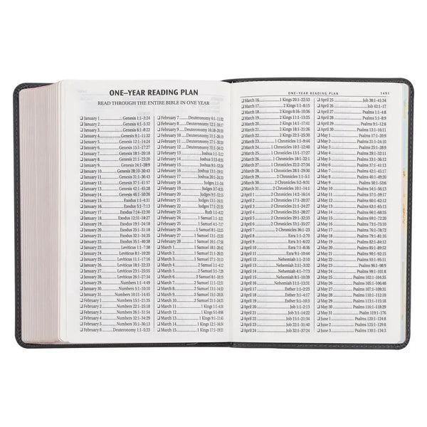 Cobalt Gray Large Print Compact King James Version Bible
