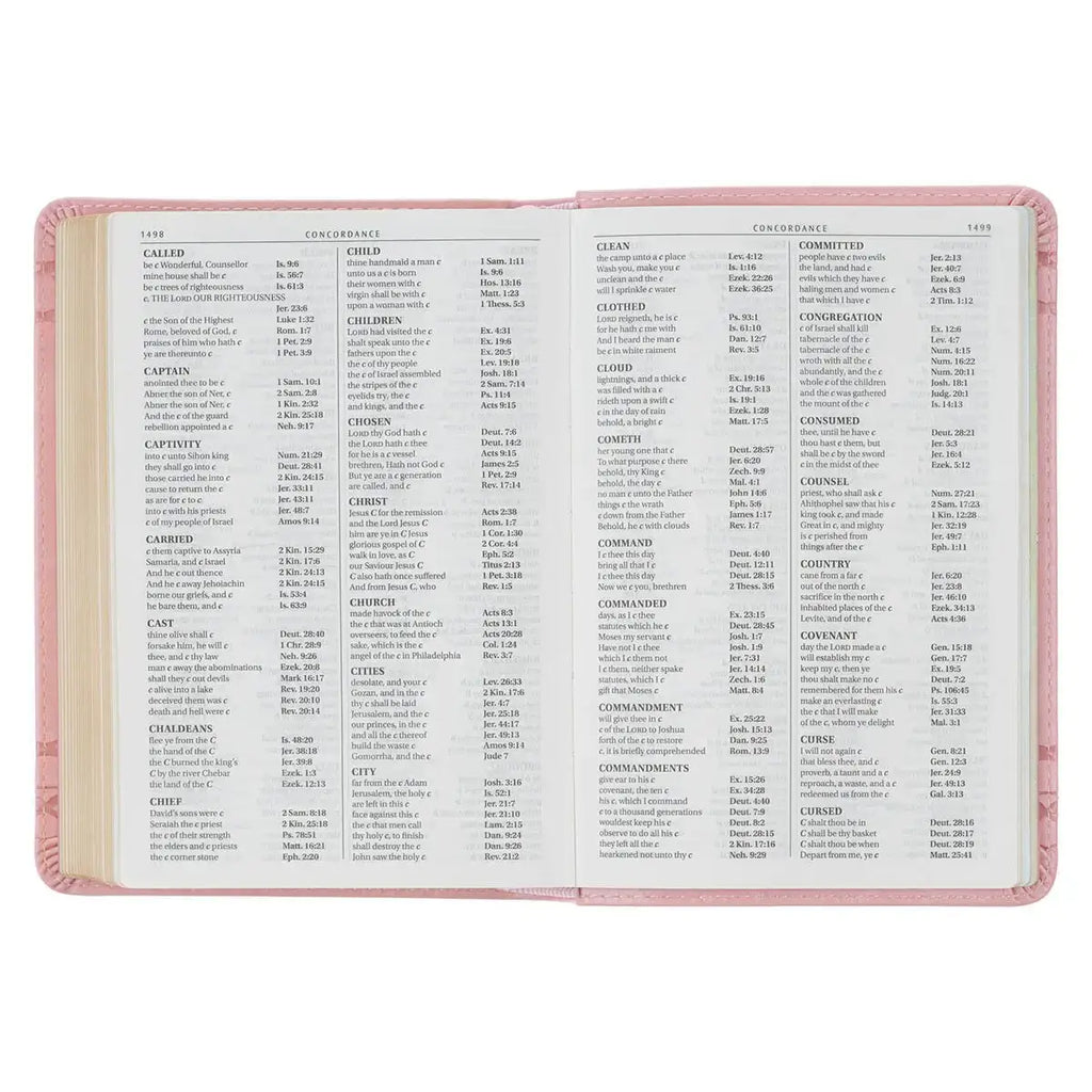 Crown of Thorns Pink faux Leather Large Print Compact King James Bible