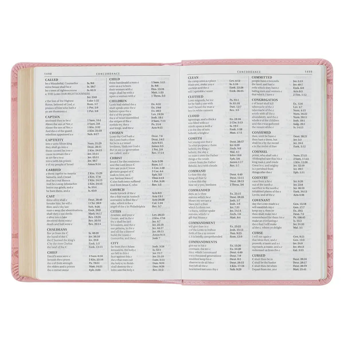 Crown of Thorns Pink faux Leather Large Print Compact King James Bible