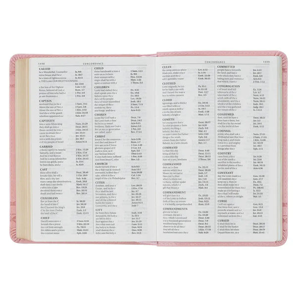 Crown of Thorns Pink faux Leather Large Print Compact King James Bible