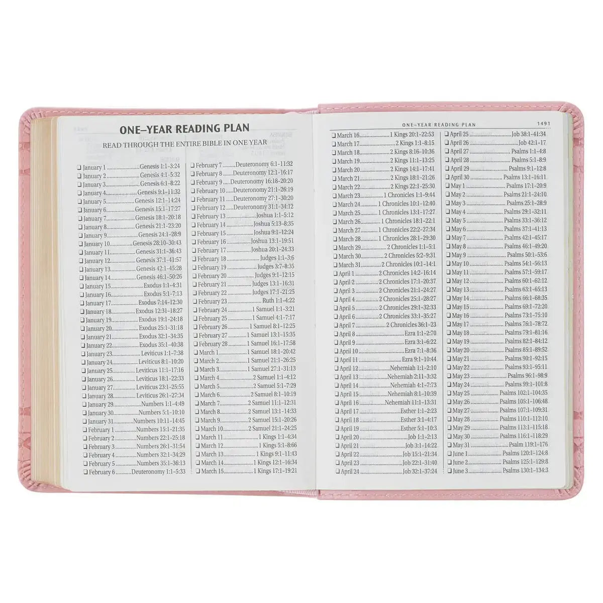 Crown of Thorns Pink faux Leather Large Print Compact King James Bible