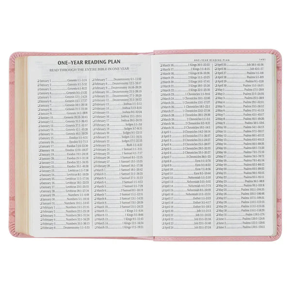Crown of Thorns Pink faux Leather Large Print Compact King James Bible
