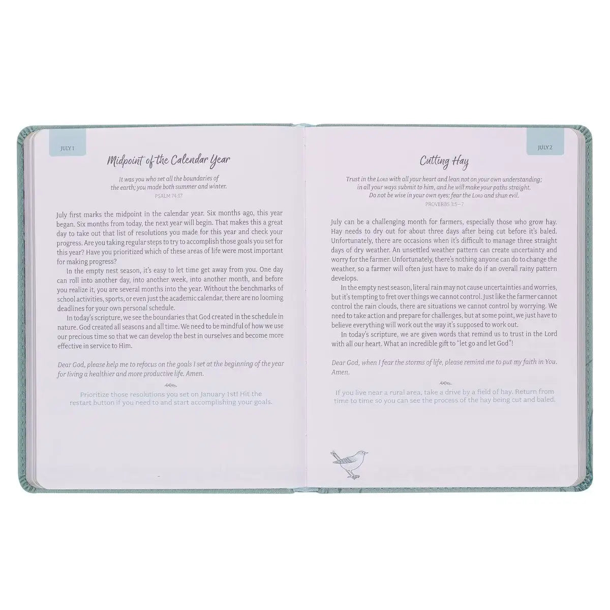 Daily Hope for the Empty Nest Dusty Teal Faux Leather Devotional