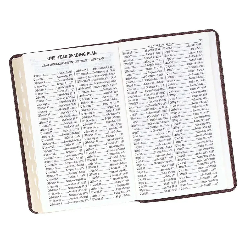 Dark Brown Faux Leather Giant Print Standard-size King James Version Bible with Thumb Index