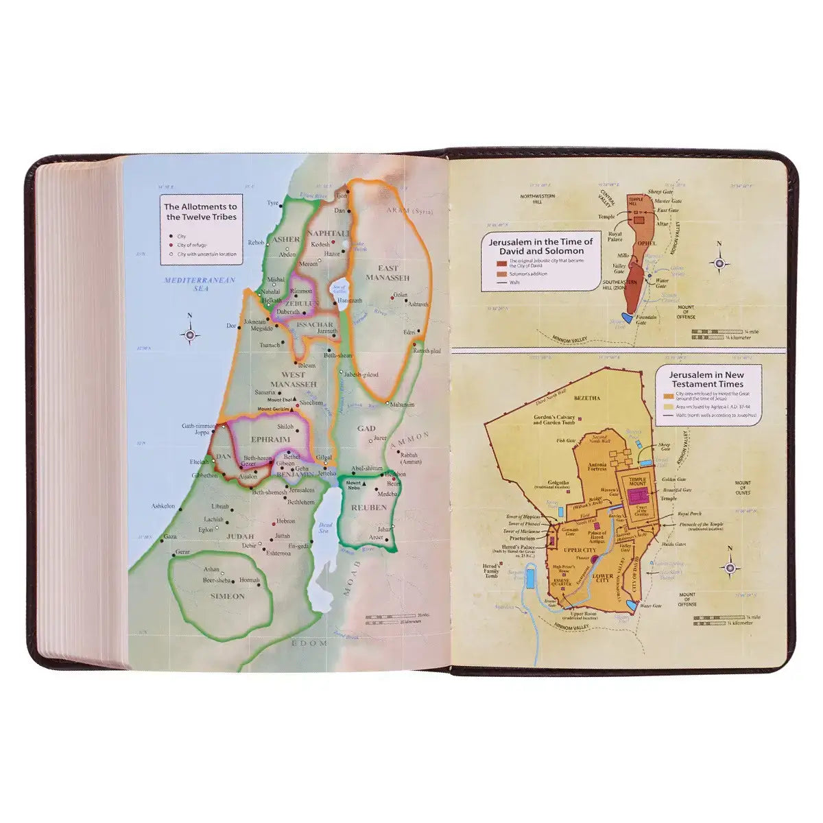 Dark Brown Faux Leather Large Print Compact King James Version Bible