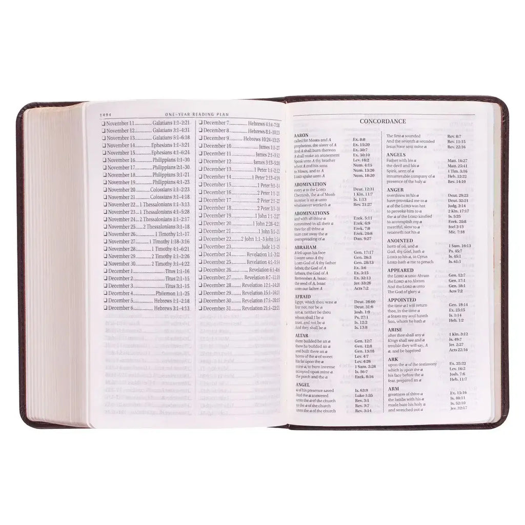 Dark Brown Faux Leather Large Print Compact King James Version Bible