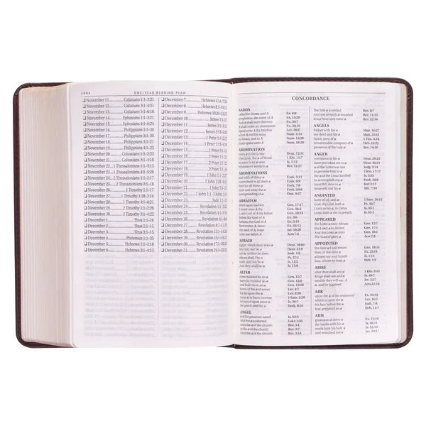 Dark Brown Faux Leather Large Print Compact King James Version Bible