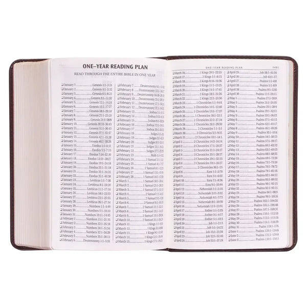 Dark Brown Faux Leather Large Print Compact King James Version Bible