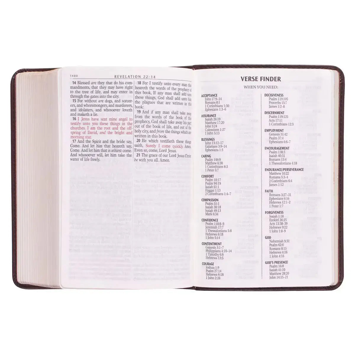 Dark Brown Faux Leather Large Print Compact King James Version Bible