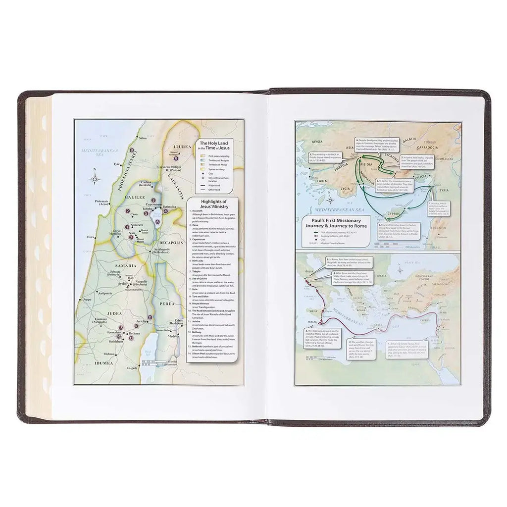 Dark Brown Faux Leather Large Print Thinline King James Version Bible with Thumb Index