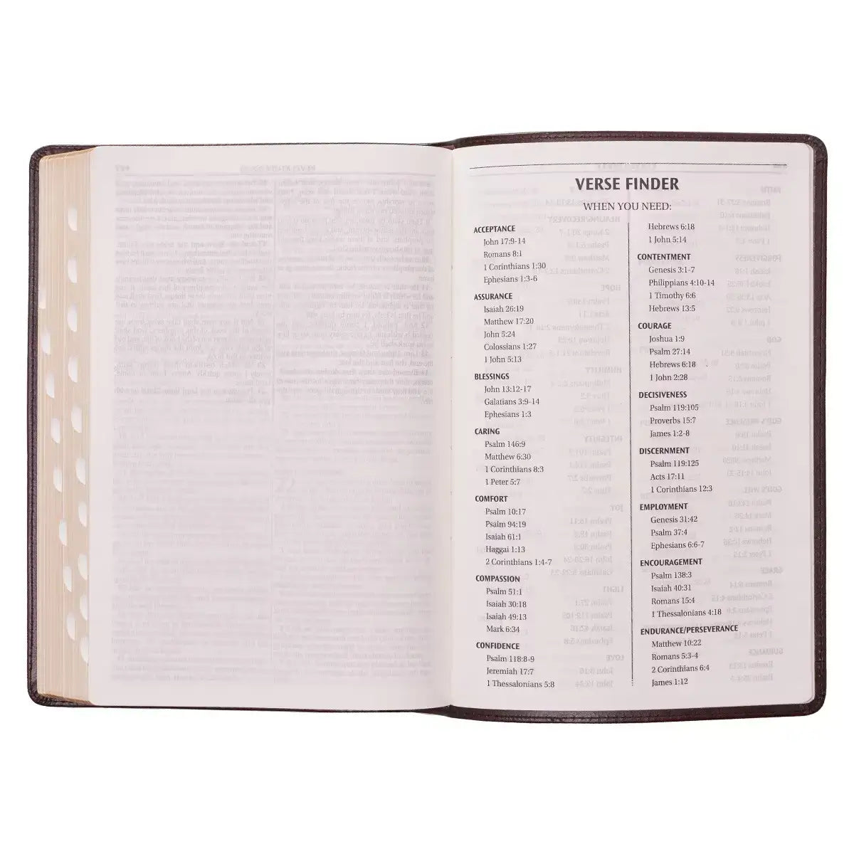 Dark Brown Faux Leather Large Print Thinline King James Version Bible with Thumb Index