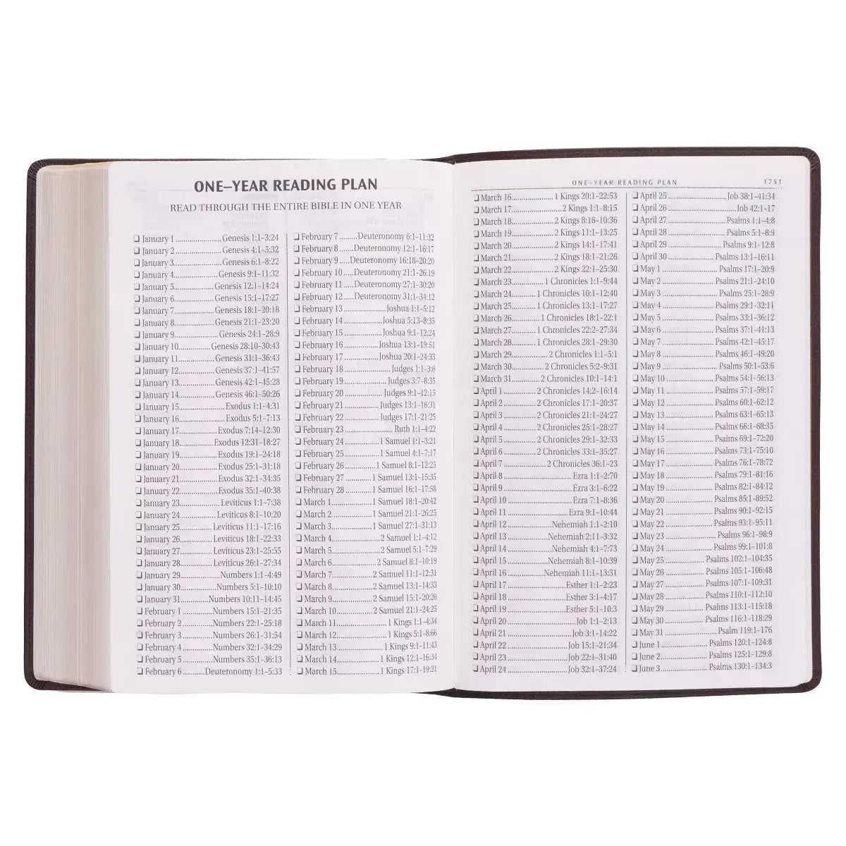 Dark Brown Faux Leather Super Giant Print King James Version Bible