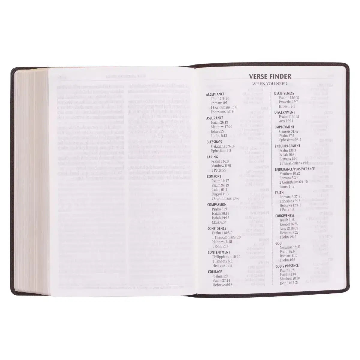 Dark Brown Faux Leather Super Giant Print King James Version Bible
