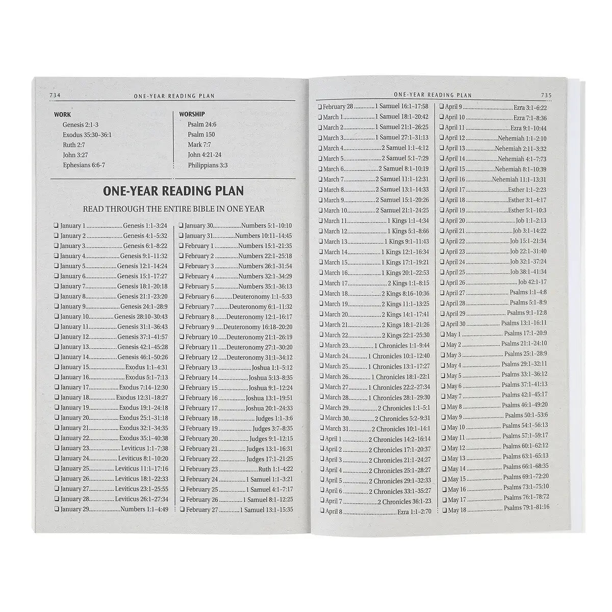 Daybreak Softcover King James Version Outreach Bible