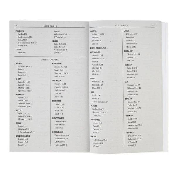 Daybreak Softcover King James Version Outreach Bible