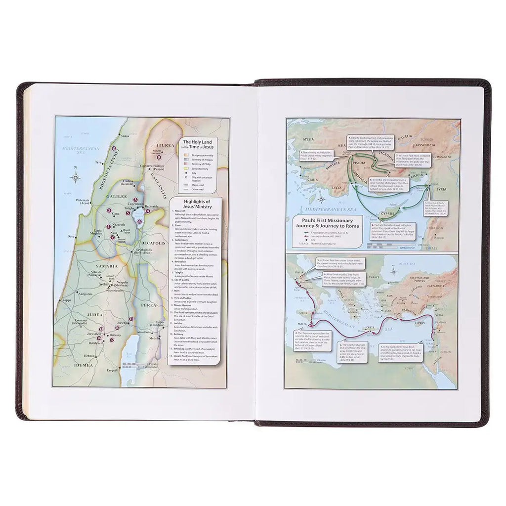 Espresso Brown Faux Leather Giant Print Full-size King James Version Bible with Thumb Index