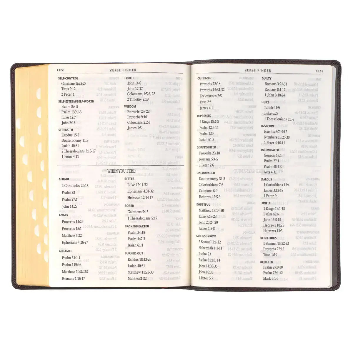 Espresso Brown Faux Leather Giant Print Full-size King James Version Bible with Thumb Index