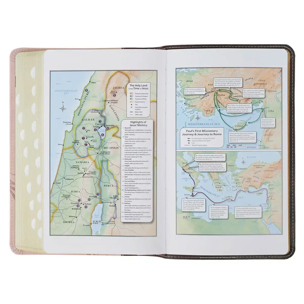 Espresso & Pink Faux Leather Giant Print King James Version Bible with Thumb Index