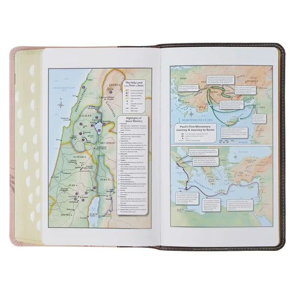 Espresso & Pink Faux Leather Giant Print King James Version Bible with Thumb Index