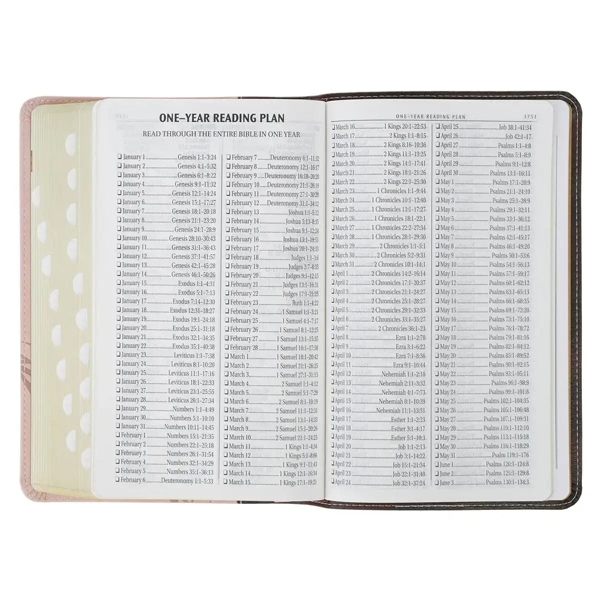 Espresso & Pink Faux Leather Giant Print King James Version Bible with Thumb Index