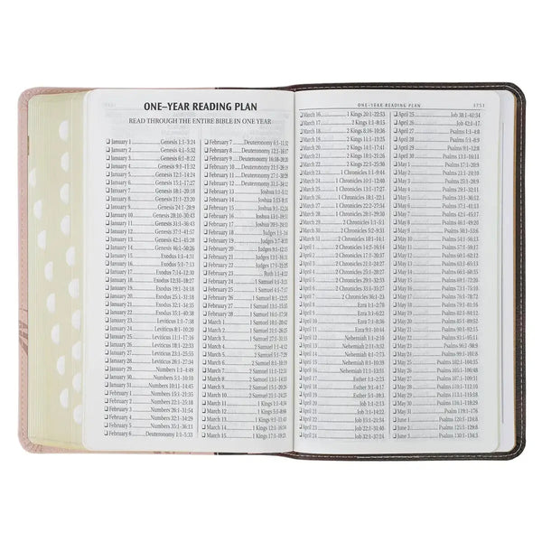 Espresso & Pink Faux Leather Giant Print King James Version Bible with Thumb Index