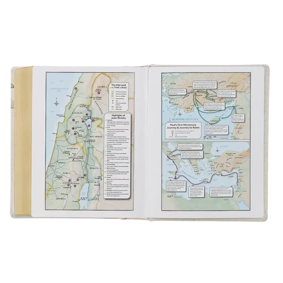 Feather Gray Floral Faux Leather Hardcover King James Version Note-taking Bible