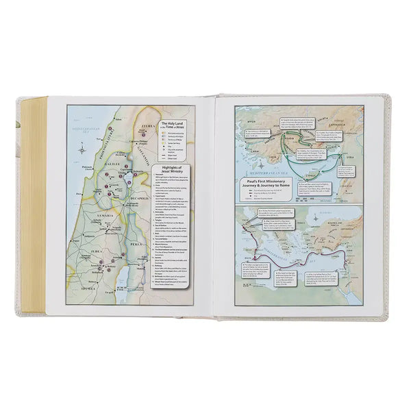Feather Gray Floral Faux Leather Hardcover King James Version Note-taking Bible