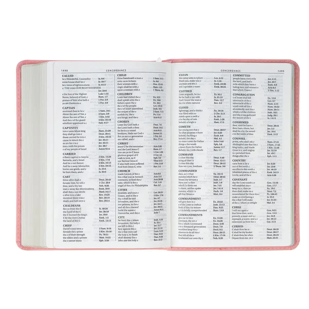 Floral Coral Dawn Faux Leather Large Print Compact King James Version Bible¬†