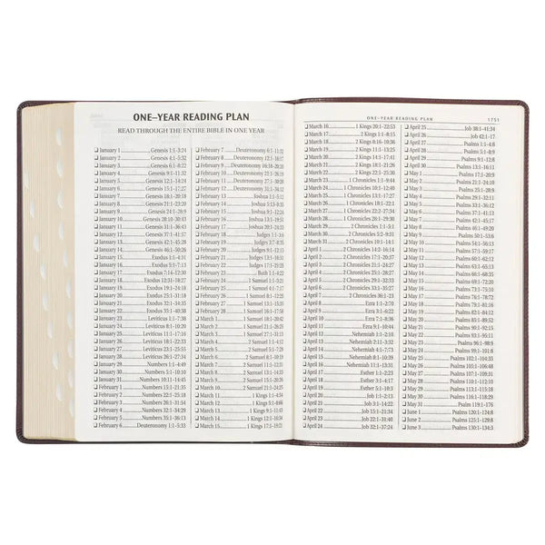 Framed Burgundy Faux Leather Super Giant Print King James Version Bible