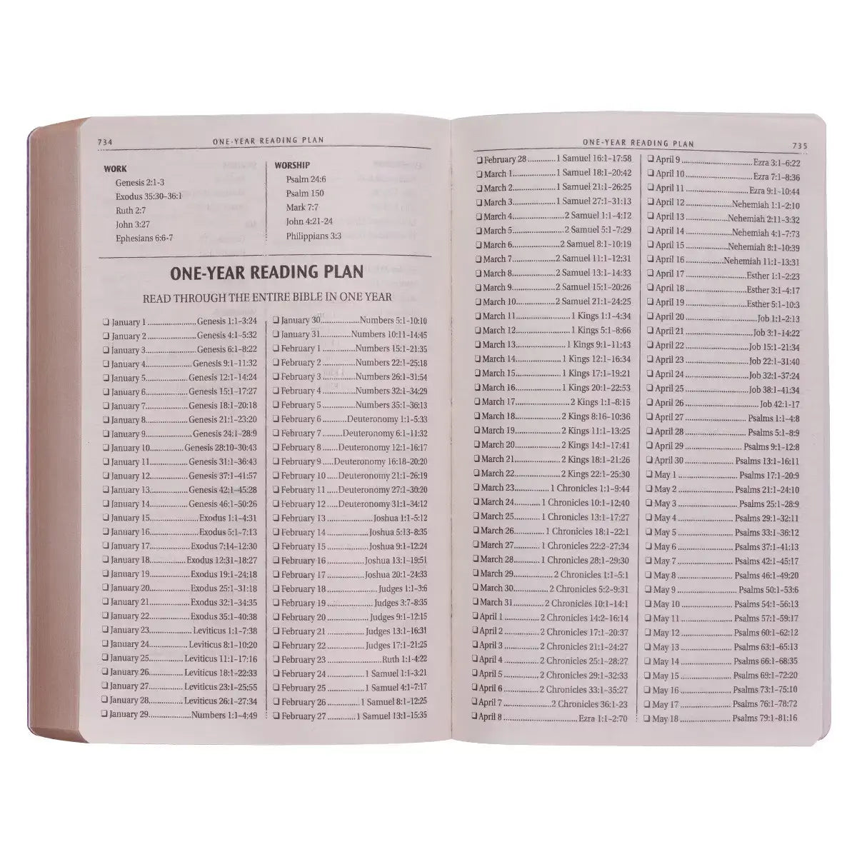 Gold Olive Branch Softcover King James Version Outreach Bible